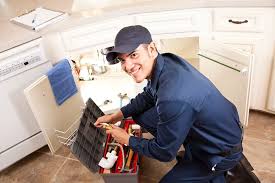 Best 24/7 Emergency Plumbing Services  in , IL